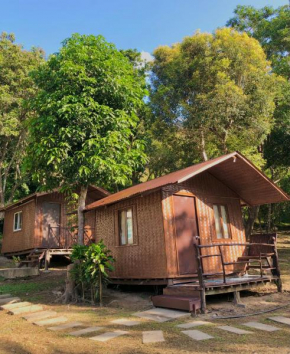 Mount Avangan Eco Adventure Park